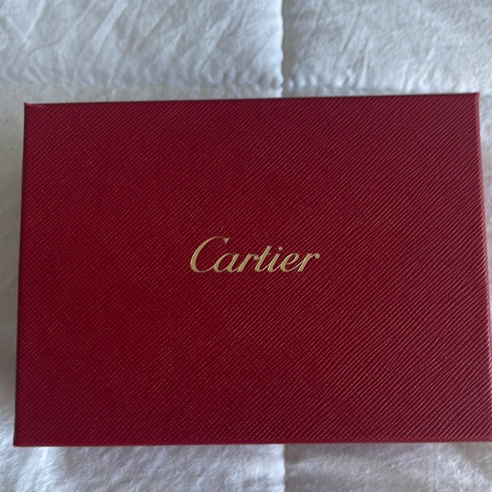 Cartier Jewelry Cleaning Kit